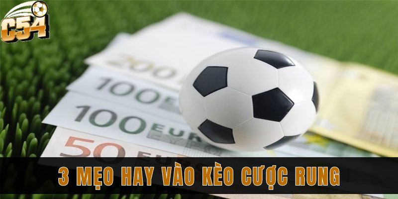 Chi tiết kèo rung bóng đá và cách đặt kèo chắc thắng 3 3 mẹo hay vào kèo cược rung giúp bạn chắc thắng